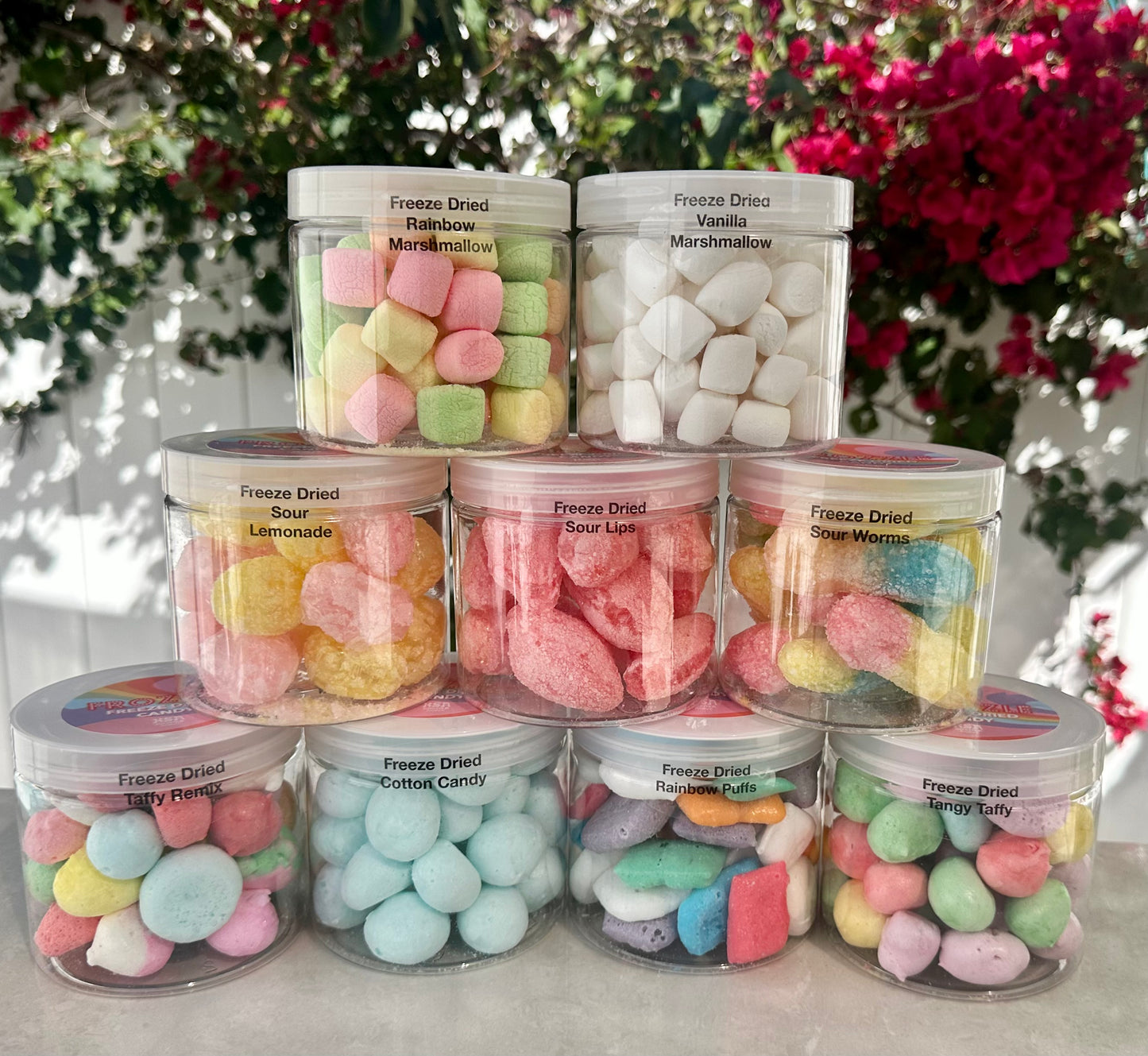 10 Pack 16 Oz Large Jars