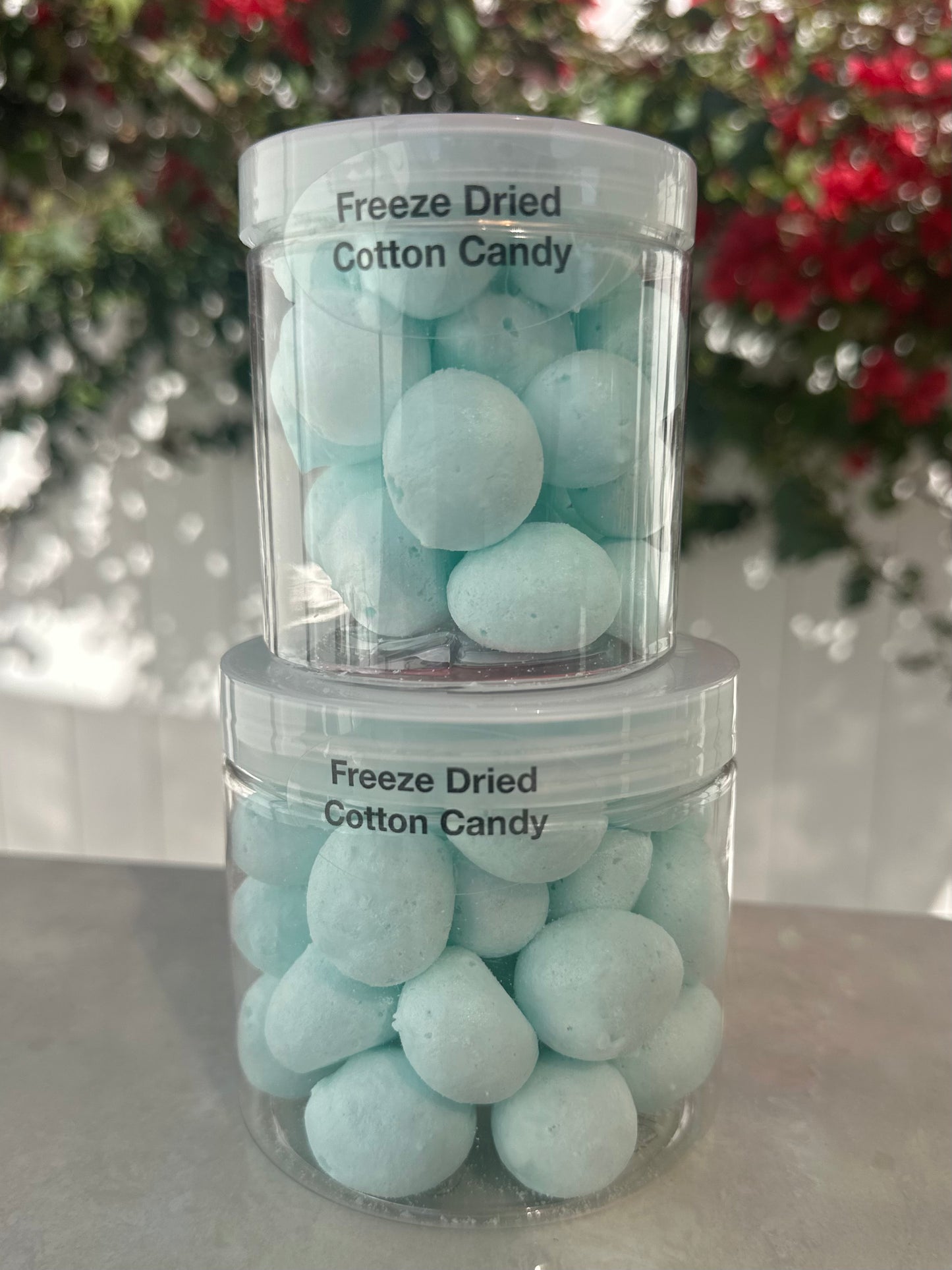 10 Pack 16 Oz Large Jars