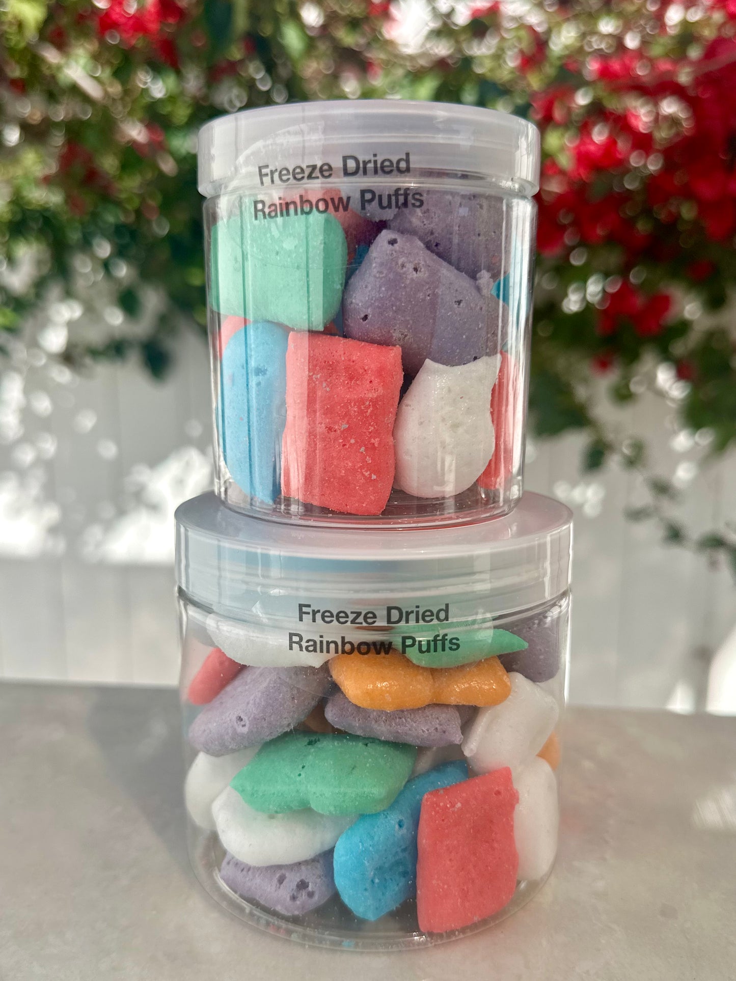10 Pack 16 Oz Large Jars