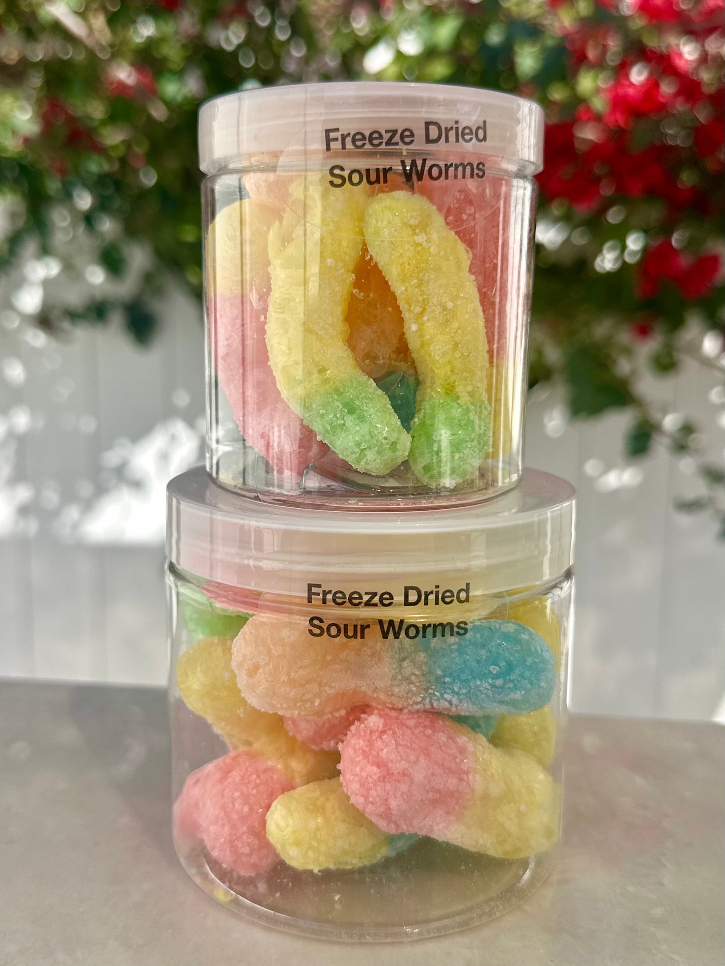 10 Pack 16 Oz Large Jars