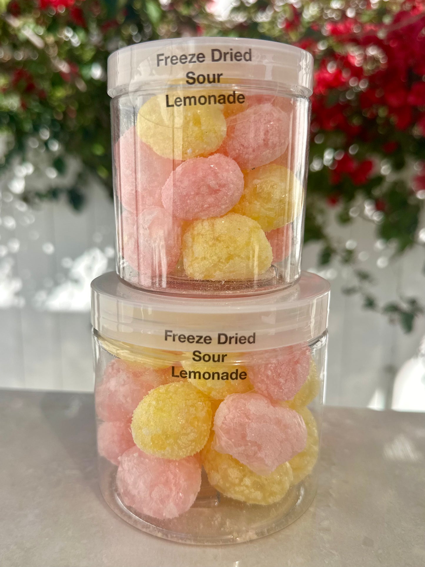 10 Pack 16 Oz Large Jars
