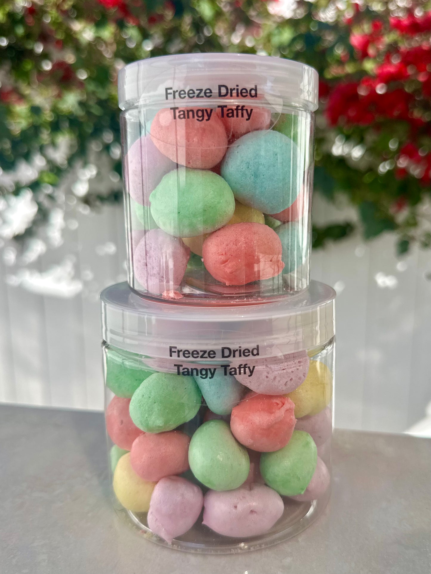 10 Pack 16 Oz Large Jars