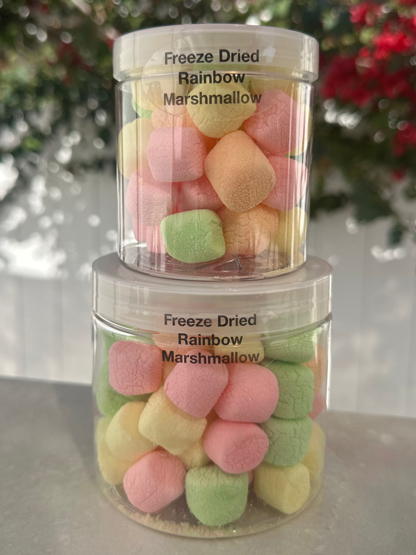 10 Pack 16 Oz Large Jars
