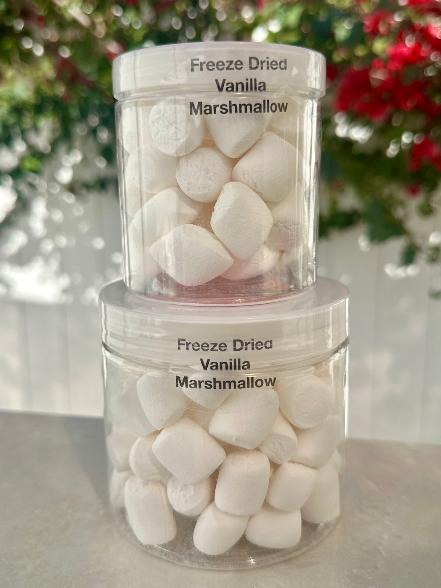 10 Pack 16 Oz Large Jars
